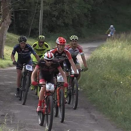 Дом отдыха Holiday Localita Torrone *